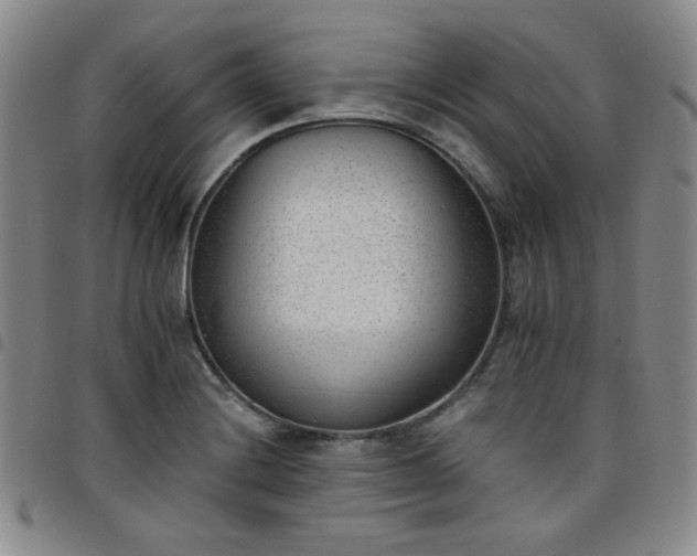 X0000098141228200804241706