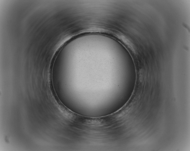 X0000098141229200804241706