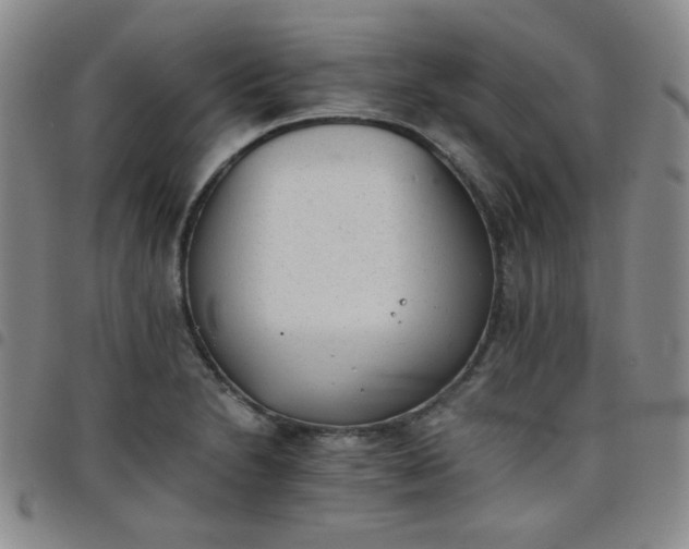 X0000098141230200804241706