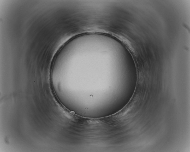X0000098141231200804241706