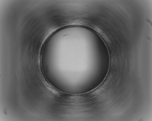 X0000098141232200804241706