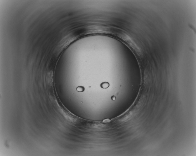 X0000098141233200804241706