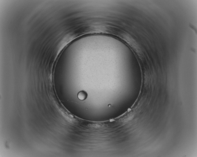 X0000098141234200804241706