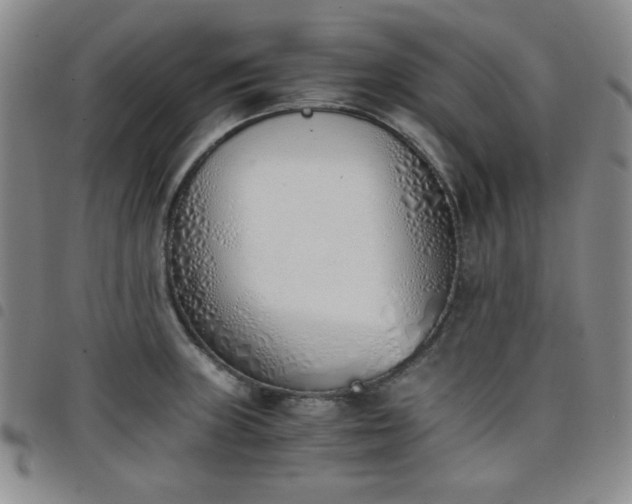 X0000098141235200804241706