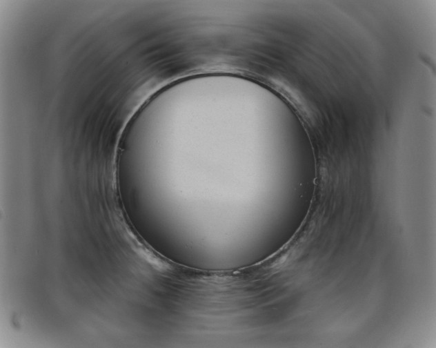 X0000098141236200804241706