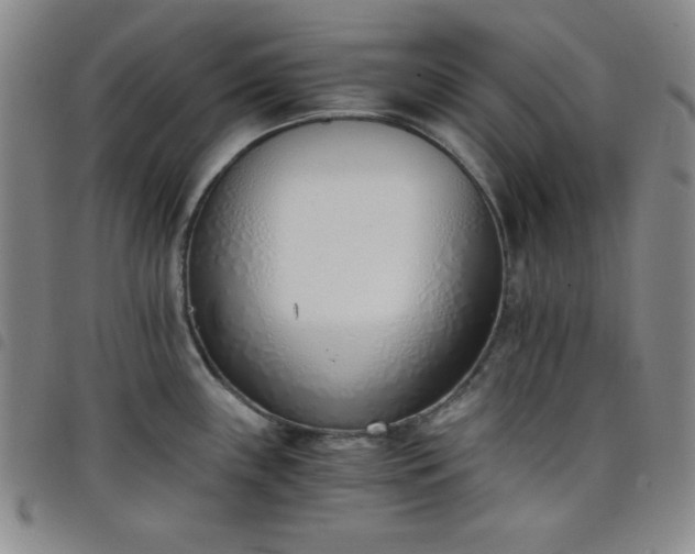 X0000098141243200804241706