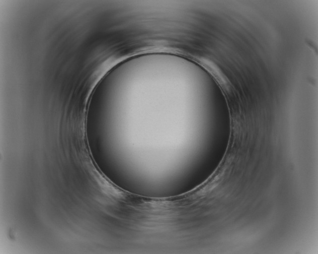 X0000098141244200804241706