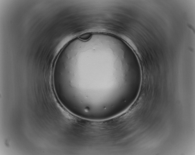 X0000098141245200804241707