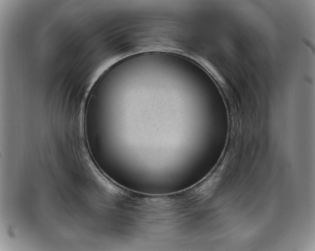 X0000098141246200804241707