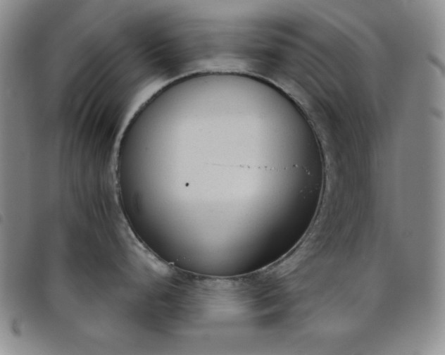 X0000098141248200804241707