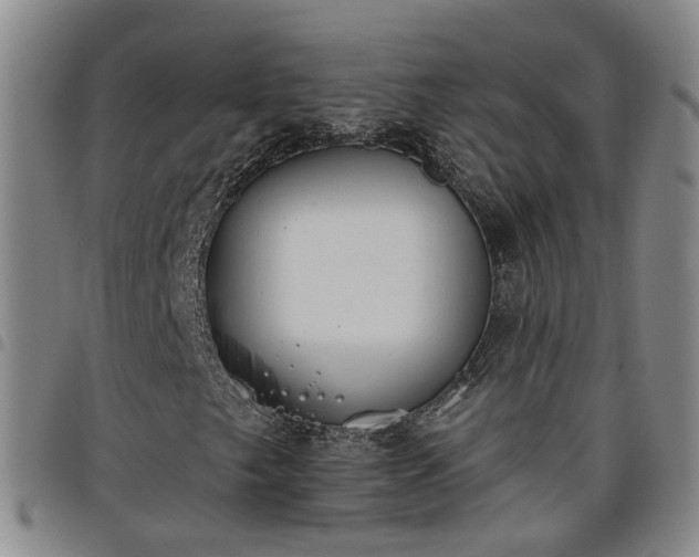 X0000098141249200804241706