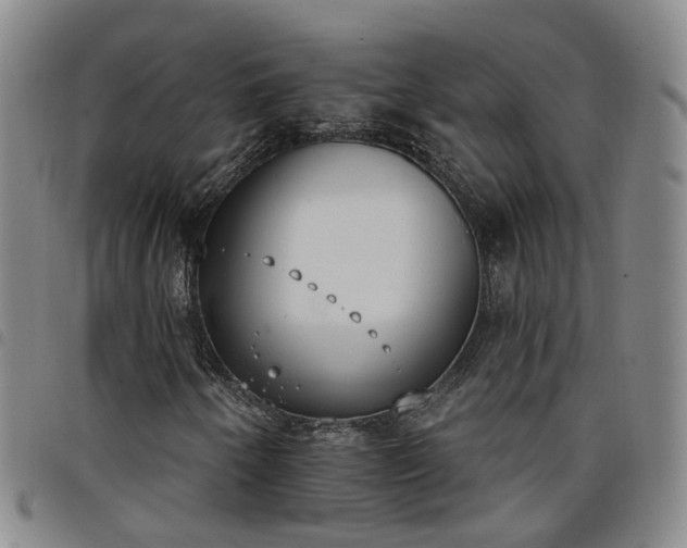 X0000098141250200804241706