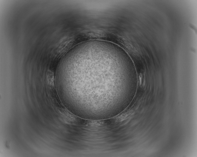 X0000098141251200804241706