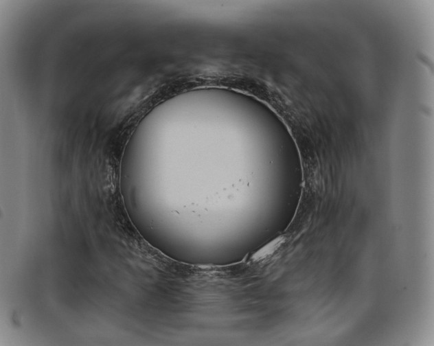 X0000098141253200804241706