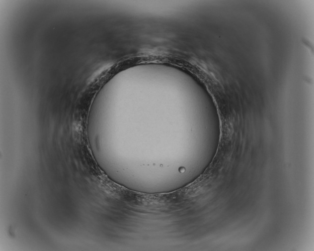 X0000098141254200804241706