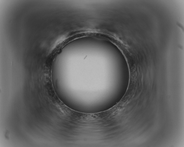 X0000098141255200804241706