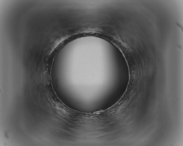 X0000098141256200804241706