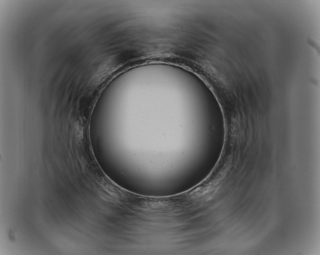 X0000098141257200804241706