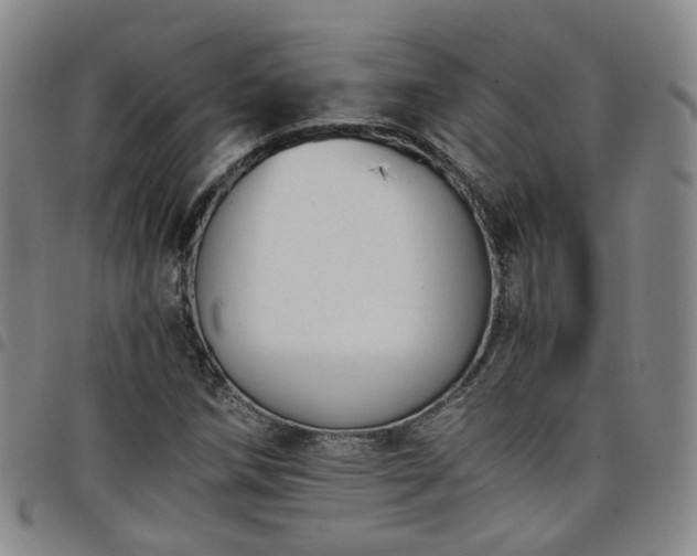 X0000098141258200804241706
