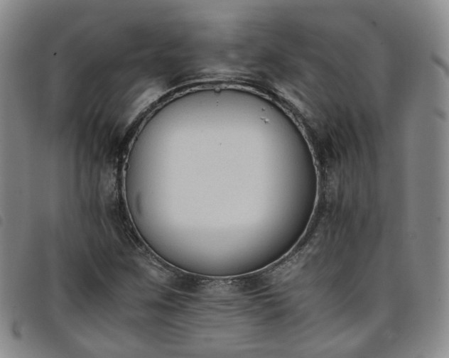 X0000098141259200804241706