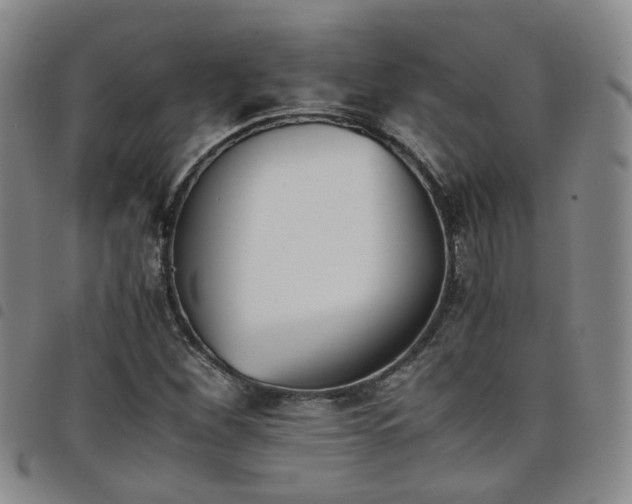 X0000098141260200804241706