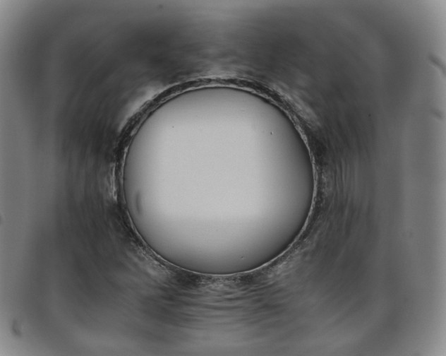 X0000098141262200804241705