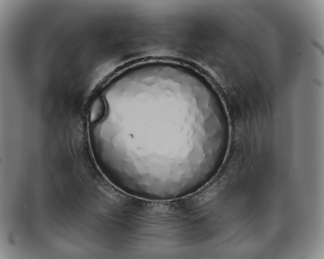 X0000098141263200804241705