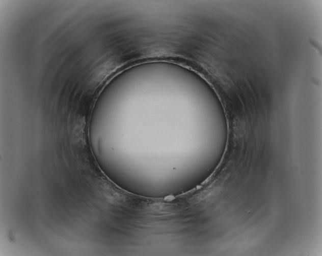 X0000098141265200804241705
