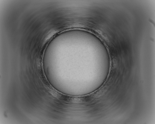 X0000098141266200804241705