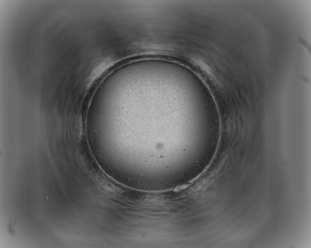 X0000098141267200804241705
