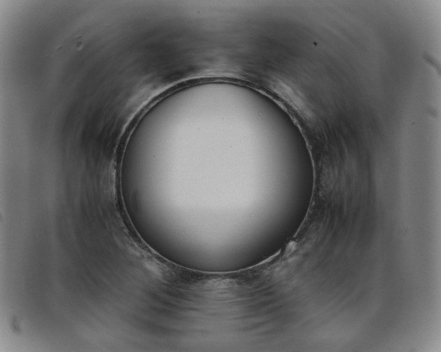 X0000098141268200804241705