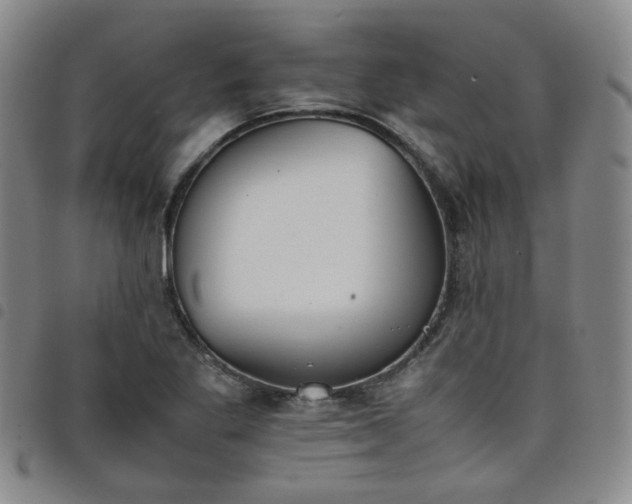 X0000098141269200804241705