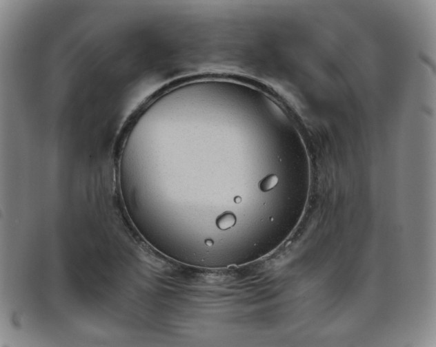X0000098141271200804241705