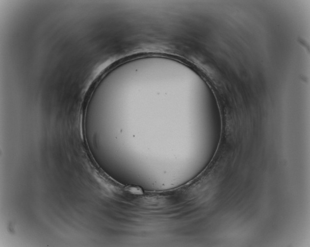 X0000098141272200804241705