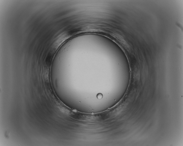 X0000098141273200804241705