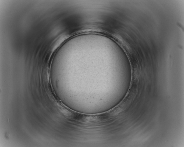 X0000098141274200804241705