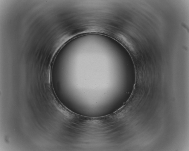 X0000098141276200804241705