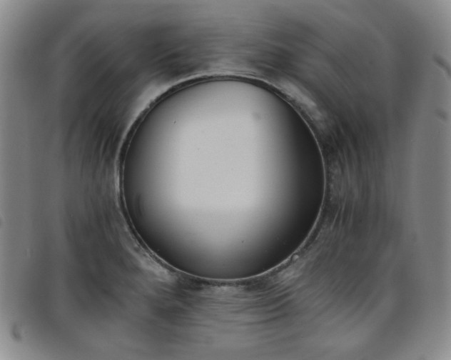 X0000098141280200804241705