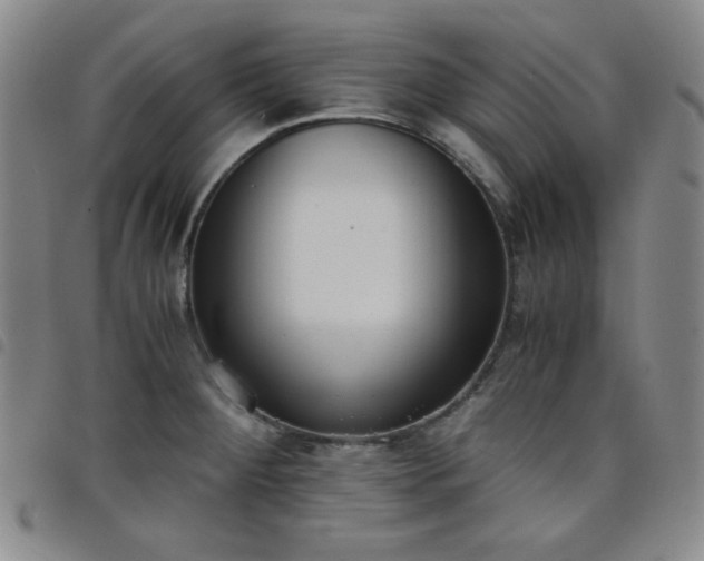X0000098141284200804241705