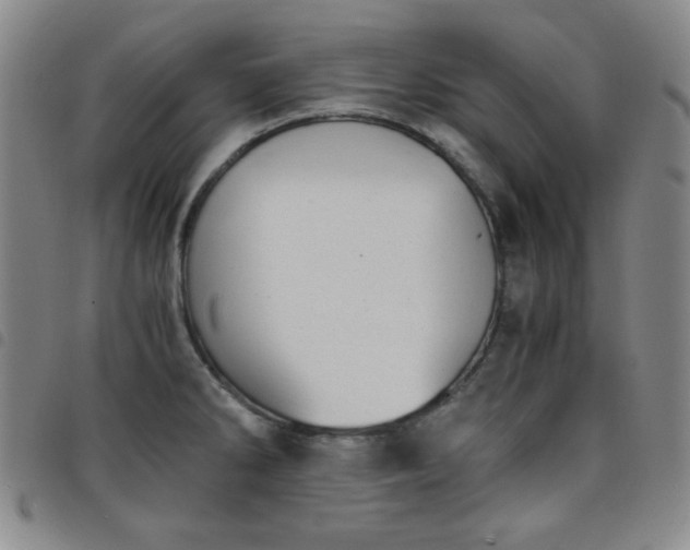 X0000098141286200804241705