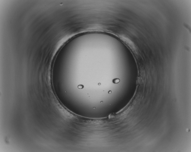 X0000098141288200804241705