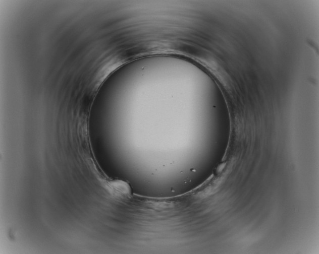 X0000098141289200804241705