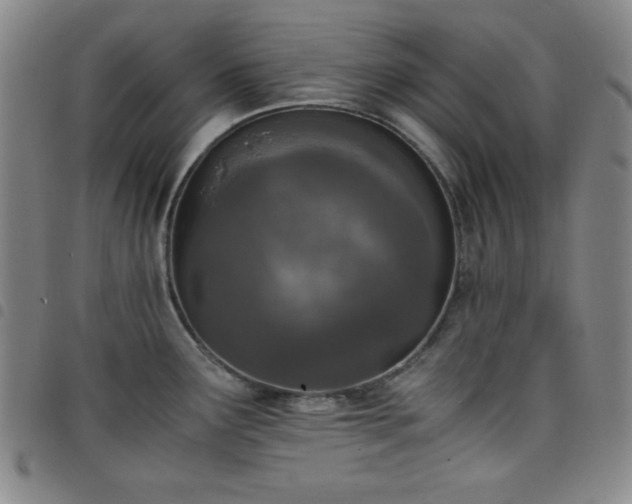 X0000098141291200804241705