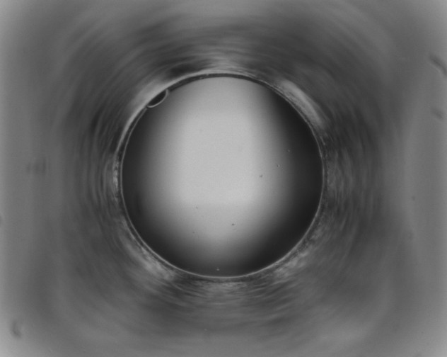 X0000098141292200804241705