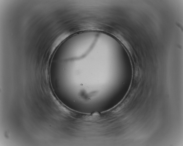 X0000098141293200804241705
