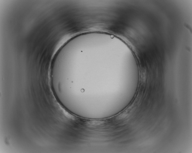 X0000098141294200804241705