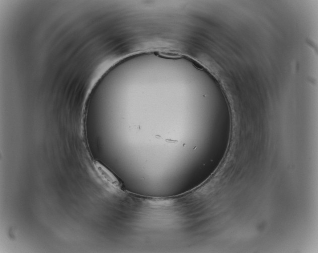 X0000098141296200804241705