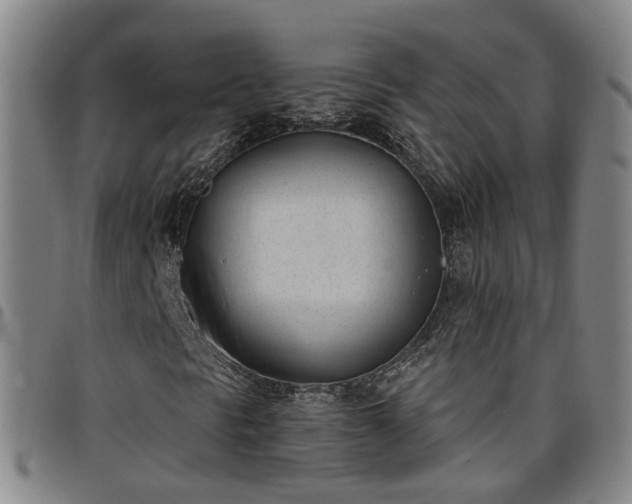 X0000098141297200804241704