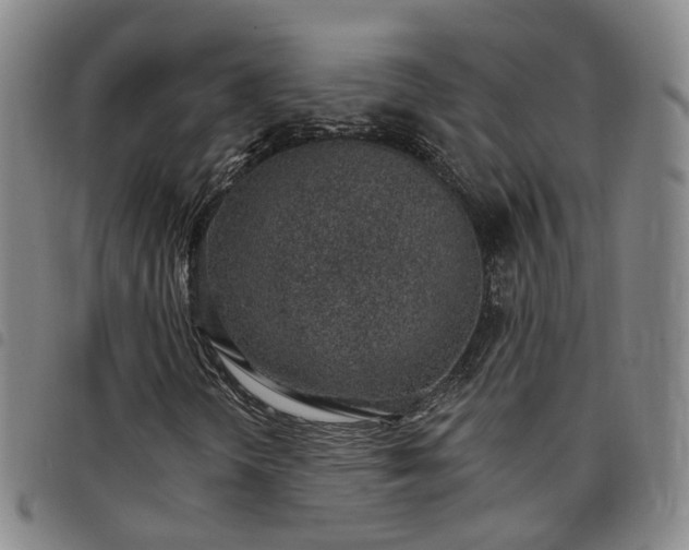 X0000098141298200804241704