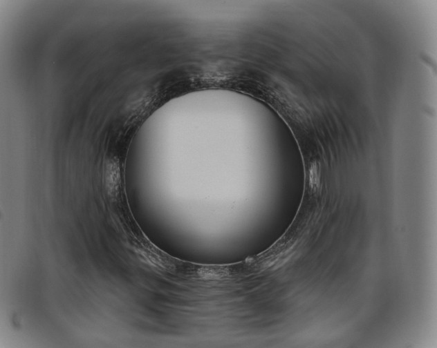 X0000098141299200804241704
